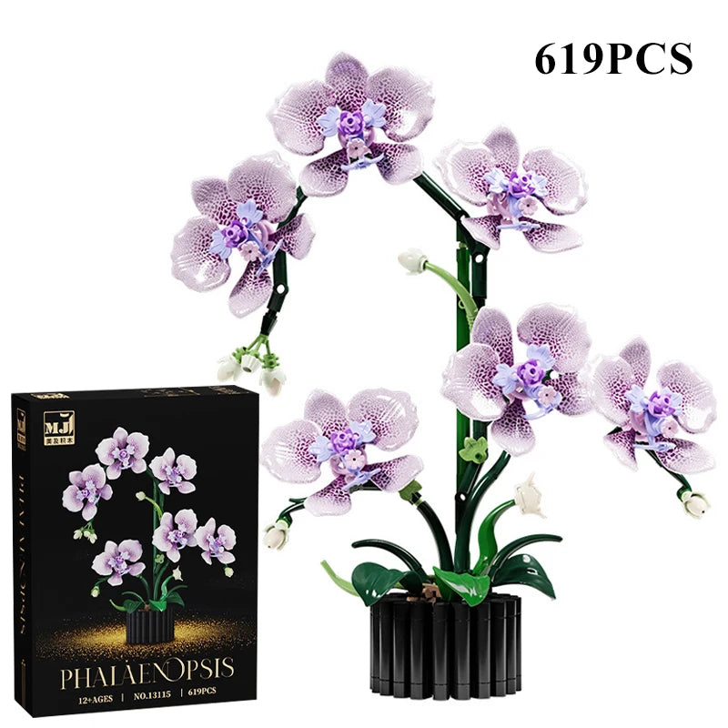 Orquídea Phalaenopsis · Escolhe o teu Modelo