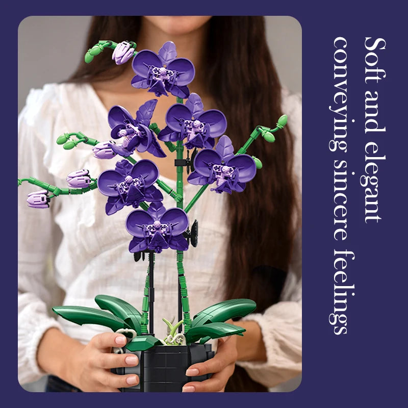Orquídea Phalaenopsis · Elige tu Modelo