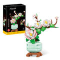 Mini Plantes Décoratives · Choisis ton Modèle