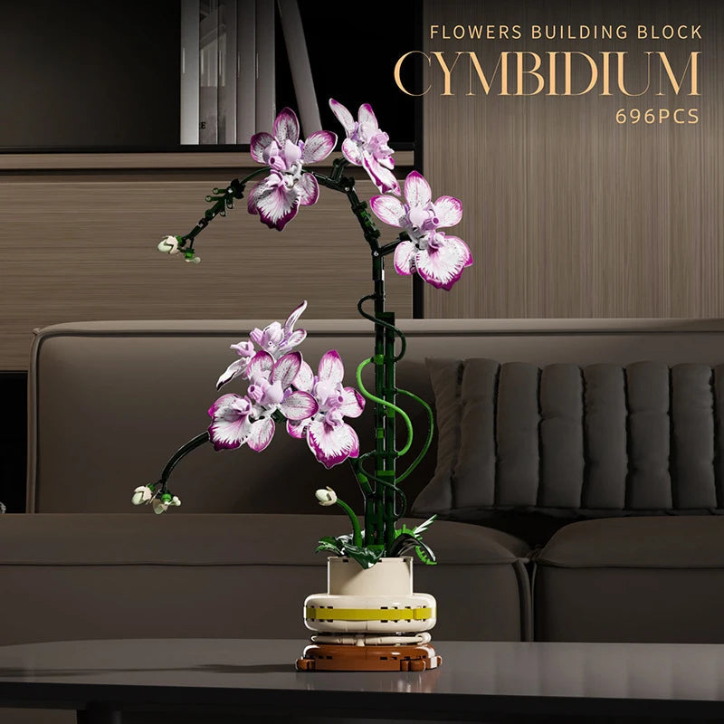 Orquídea Phalaenopsis · Elige tu Modelo