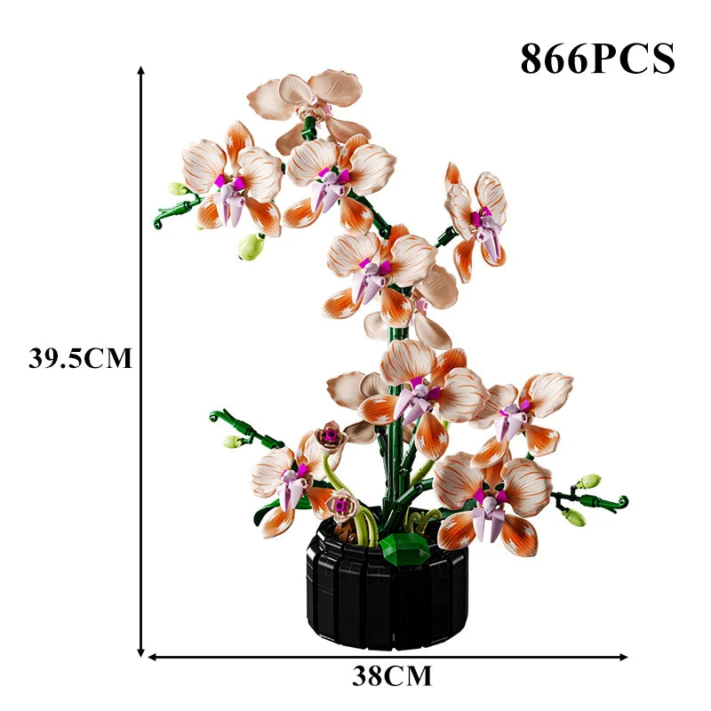 Orquídea Phalaenopsis · Elige tu Modelo