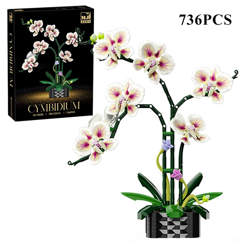 Orquídea Phalaenopsis · Escolhe o teu Modelo