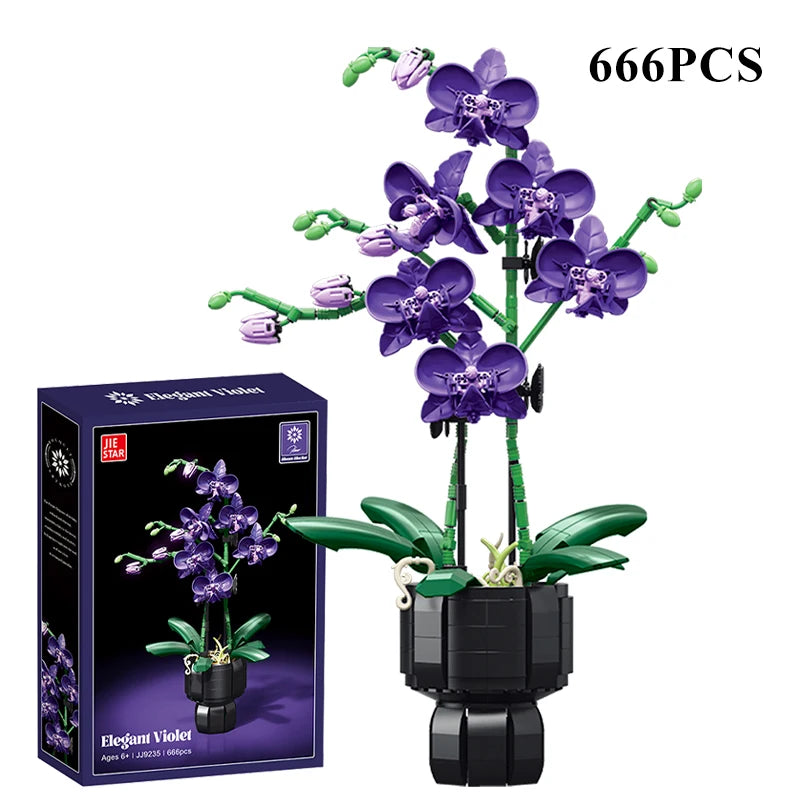 Orquídea Phalaenopsis · Escolhe o teu Modelo