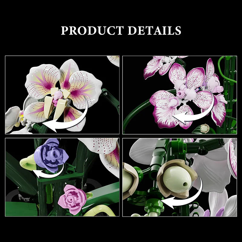 Orquídea Phalaenopsis · Elige tu Modelo