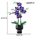 Orchidée Phalaenopsis · Choisis ton Modèle