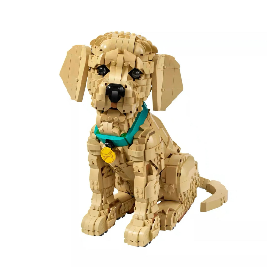 Golden Retriever · 2.102 piezas
