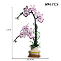 Phalaenopsis Orchid · Choose your Model