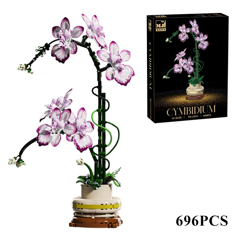 Orquídea Phalaenopsis · Escolhe o teu Modelo