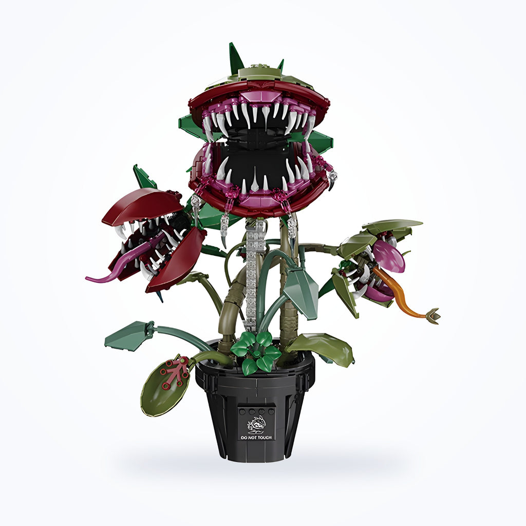 Plante Carnivore · Set Botanique Décoratif